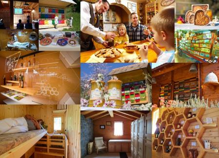 Čebelarski turizmi – ideja za preživljanje letošnjih počitnic - prispevek ČZ Slovenije 
